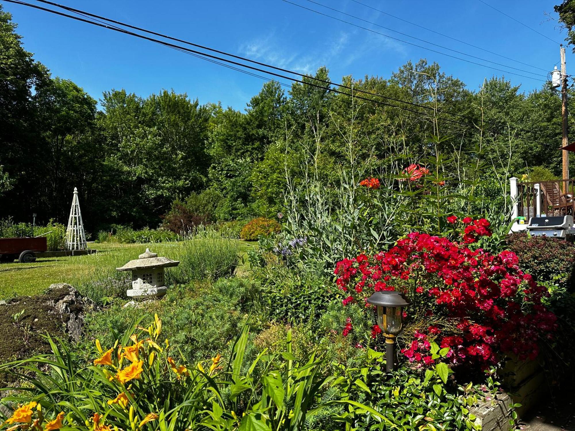 Mid-century Djs Dream Near Rhinebeck * Staatsburg